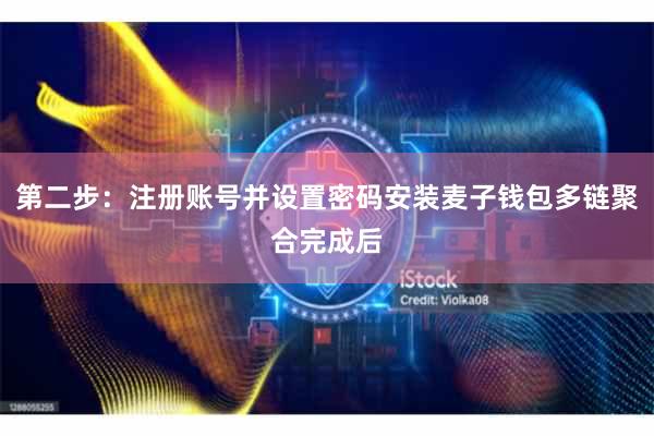 第二步:注册账号并设置密码安装麦子钱包多链聚合完成后