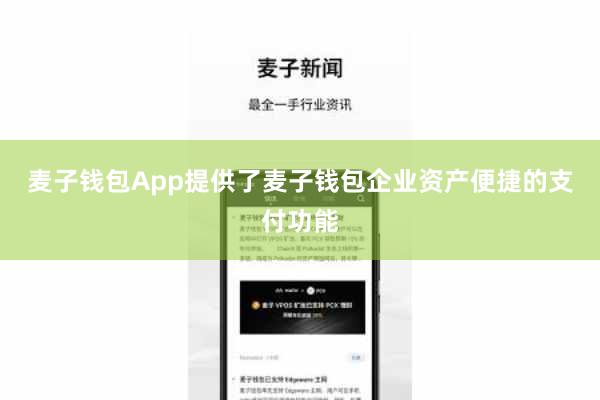 麦子钱包App提供了麦子钱包企业资产便捷的支付功能
