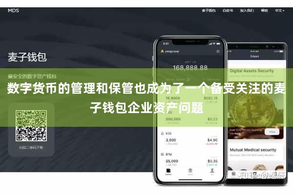 数字货币的管理和保管也成为了一个备受关注的麦子钱包企业资产问题