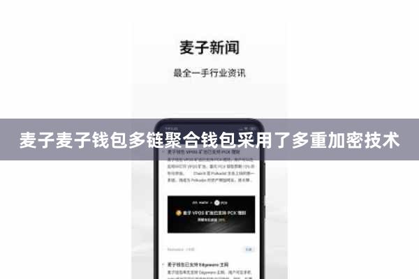 麦子麦子钱包多链聚合钱包采用了多重加密技术