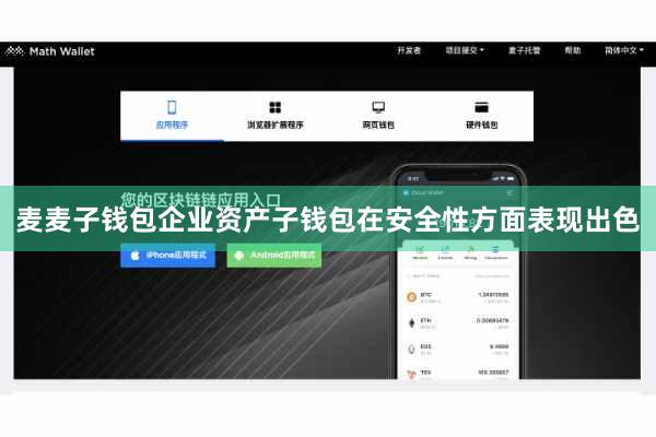 麦麦子钱包企业资产子钱包在安全性方面表现出色