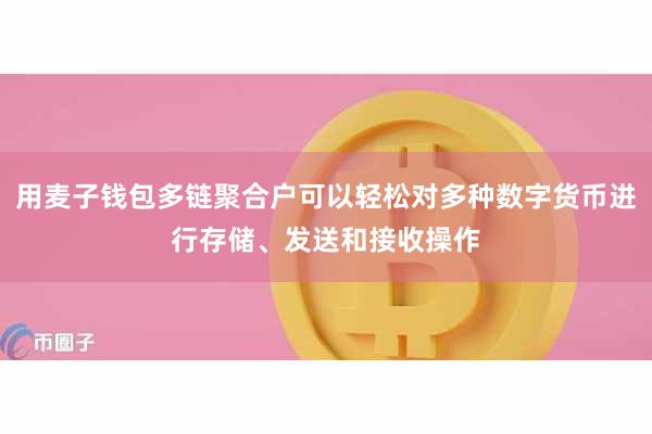 用麦子钱包多链聚合户可以轻松对多种数字货币进行存储、发送和接收操作
