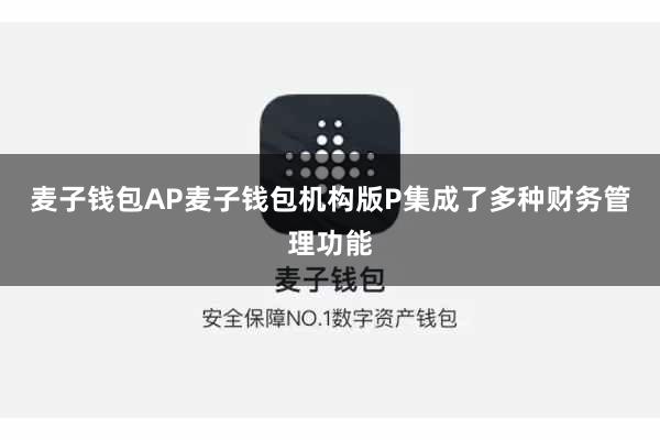 麦子钱包AP麦子钱包机构版P集成了多种财务管理功能