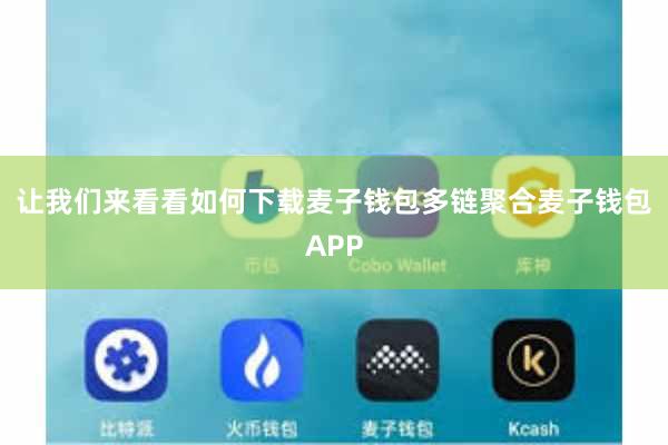 让我们来看看如何下载麦子钱包多链聚合麦子钱包APP