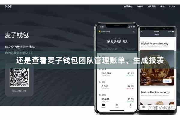 还是查看麦子钱包团队管理账单、生成报表