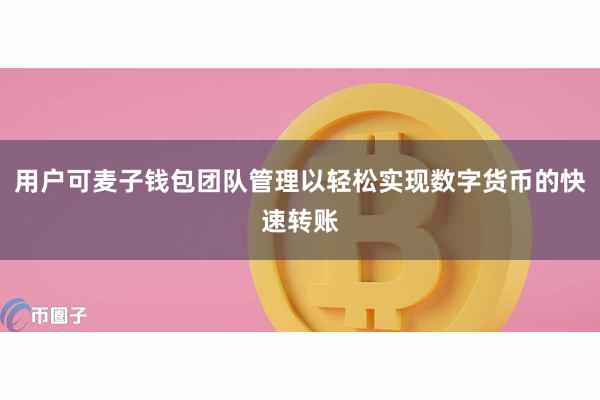 用户可麦子钱包团队管理以轻松实现数字货币的快速转账