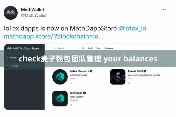 check麦子钱包团队管理 your balances