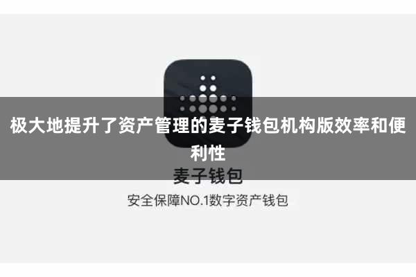 极大地提升了资产管理的麦子钱包机构版效率和便利性