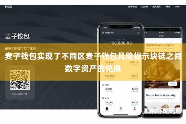 麦子钱包实现了不同区麦子钱包风险提示块链之间数字资产的兑换