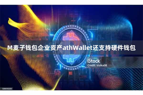 M麦子钱包企业资产athWallet还支持硬件钱包