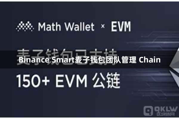 Binance Smart麦子钱包团队管理 Chain