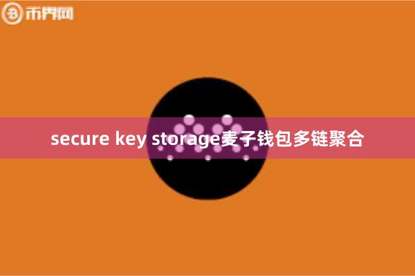 secure key storage麦子钱包多链聚合