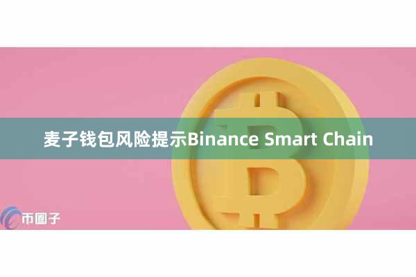 麦子钱包风险提示Binance Smart Chain