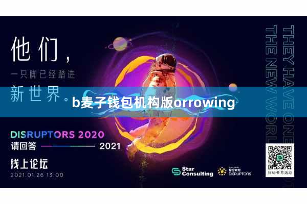 b麦子钱包机构版orrowing
