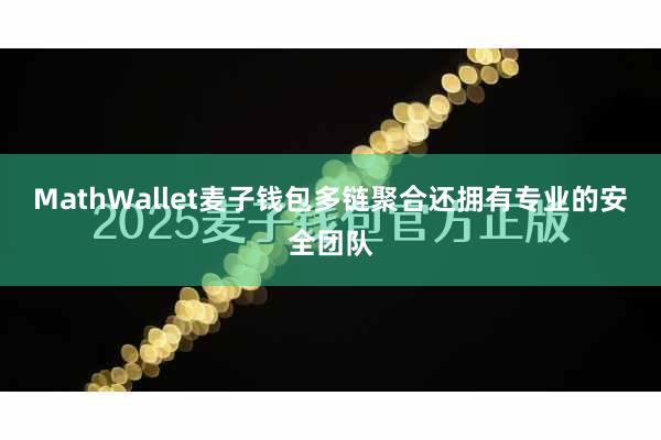 MathWallet麦子钱包多链聚合还拥有专业的安全团队