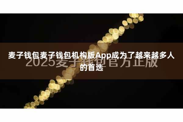 麦子钱包麦子钱包机构版App成为了越来越多人的首选