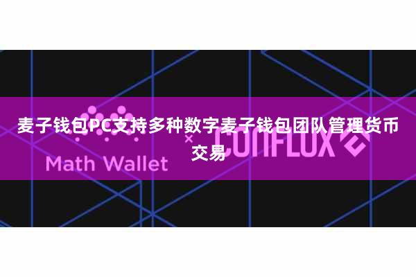 麦子钱包PC支持多种数字麦子钱包团队管理货币交易