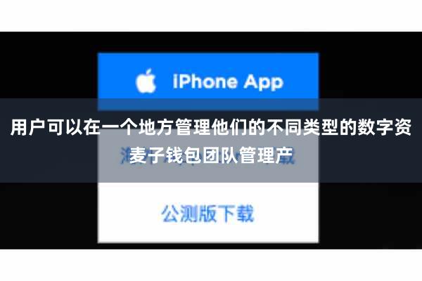 用户可以在一个地方管理他们的不同类型的数字资麦子钱包团队管理产